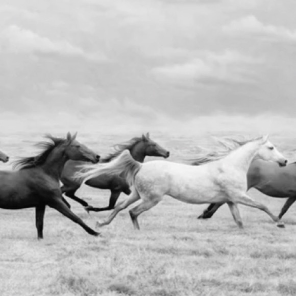 Introducing Lola - Picture 3 of 15